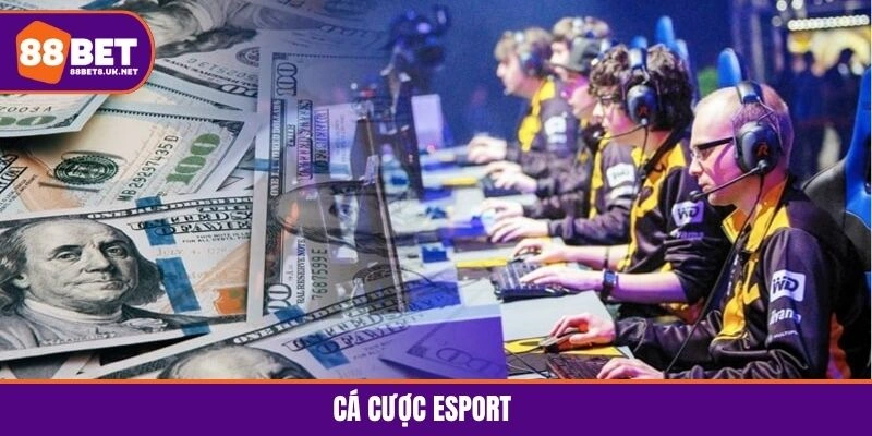cá cược eSport