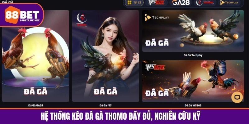 Hệ thống kèo đá gà Thomo đầy đủ, nghiên cứu kỹ