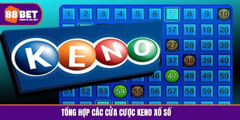Tổng hợp các cửa cược bet thủ có thể đặt khi chơi Keno