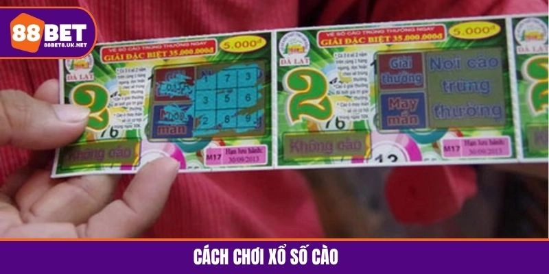 Cách Chơi Xổ Số Cào