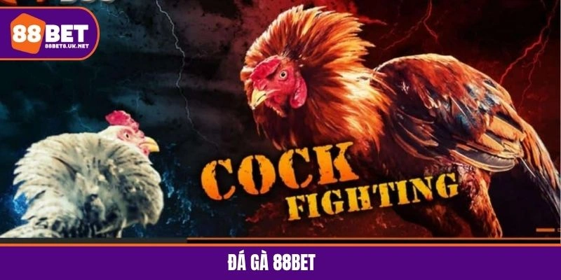 Đá gà