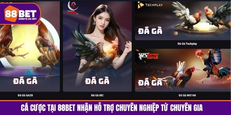 Cá cược tại 88BET nhận hỗ trợ chuyên nghiệp từ chuyên gia
