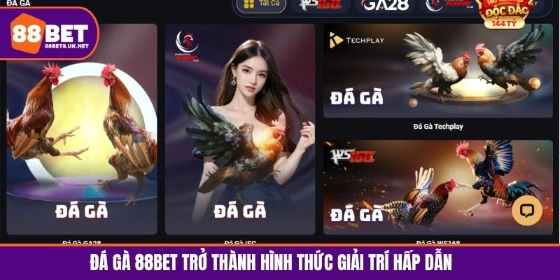 Chọi gà trở thành hình thức giải trí hấp dẫn hàng đầu 88BET