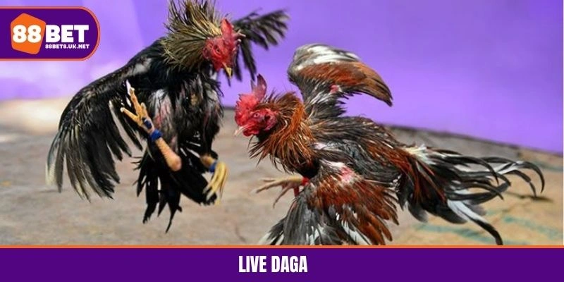 Live Daga