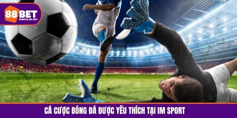 Cá cược bóng đá được yêu thích tại IM Sport
