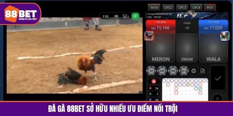 Đá gà 88BET chinh phục người chơi với các ưu điểm nổi trội